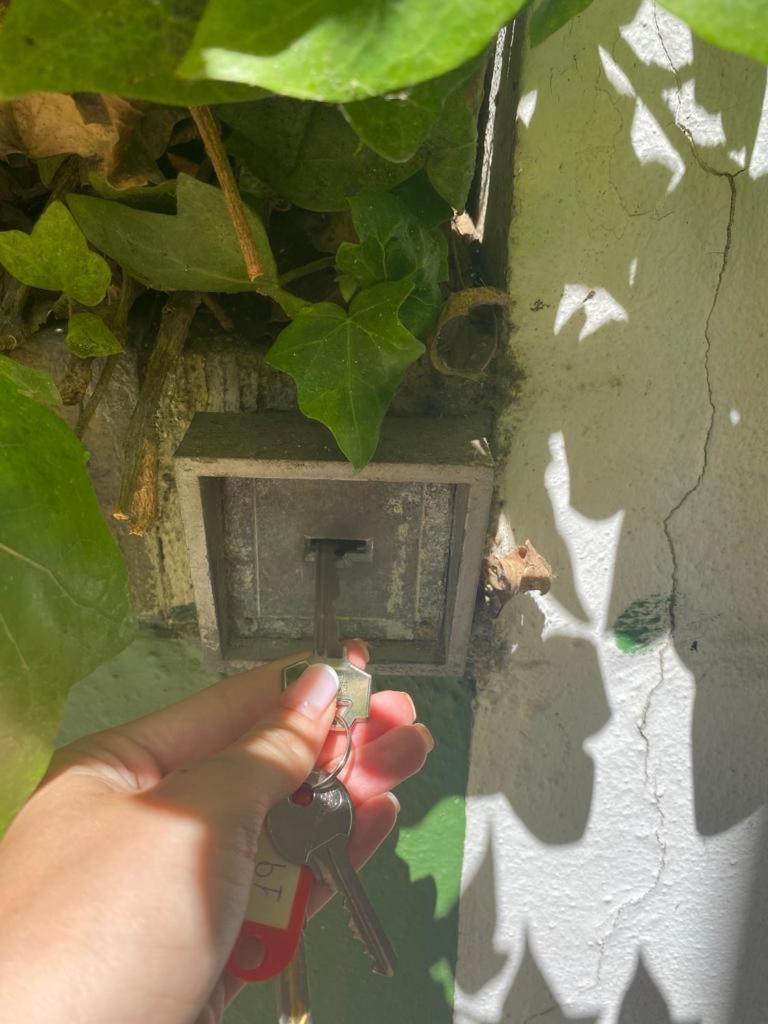 Rentalsevilla San Clemente المظهر الخارجي الصورة