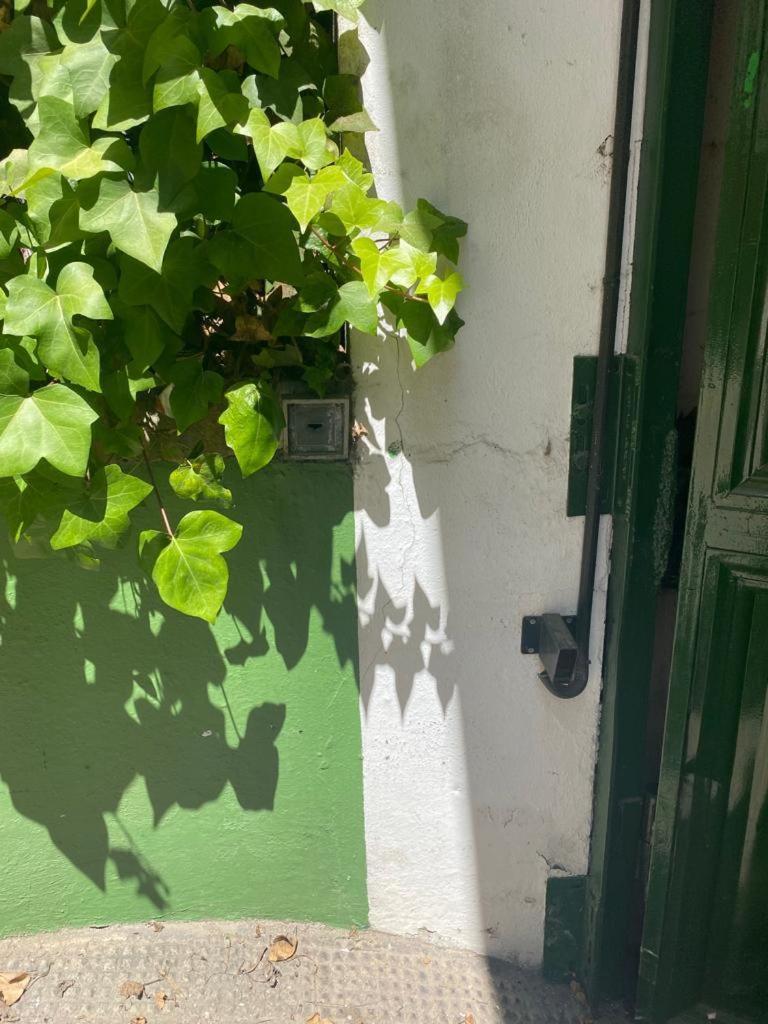 Rentalsevilla San Clemente المظهر الخارجي الصورة