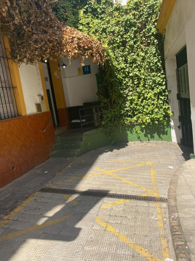 Rentalsevilla San Clemente المظهر الخارجي الصورة