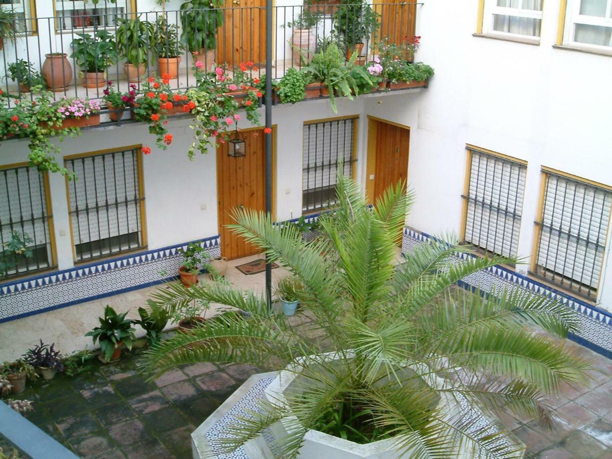 Rentalsevilla San Clemente المظهر الخارجي الصورة